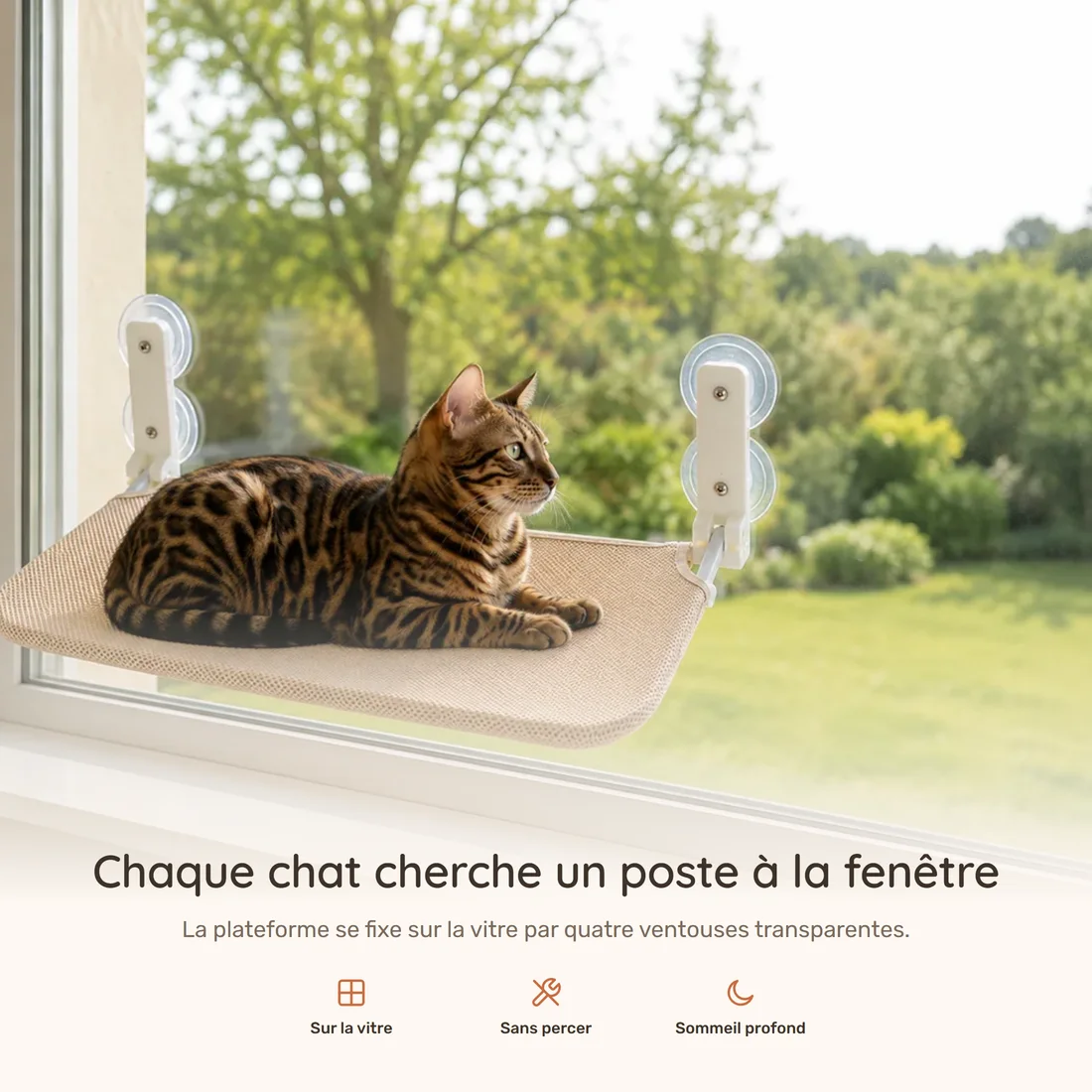 Every cat wants a window seat — the beige mesh platform held on the glass by four clear suction cups, a Bengal cat lying on it