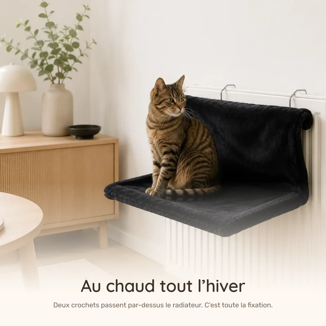 Warm all winter — the black radiator bed on its two hooks, a tabby cat sitting on it