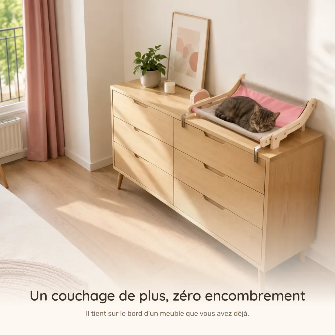 One more bed, no floor space — the wooden-frame perch clamped to a dresser, a cat asleep, the floor clear